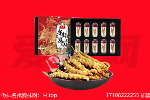 福田区回收虫草.jpg